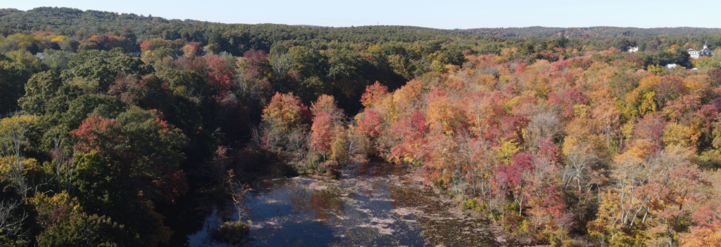fall foliage aerial photo in uxbridge 