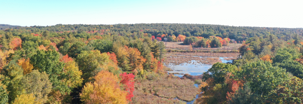 west boylston aerial view of forest in the fall